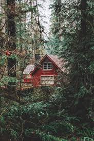 Just Nice Places To Live Cottage In The Woods House In The Woods Forest House