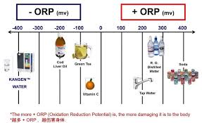 what is kangen water kangen water is an ionised alkaline water