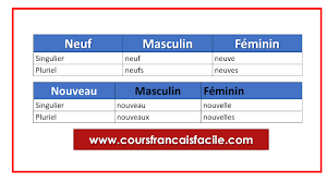 Quelle Est La Difference Neuf Et Nouveau Les Adjectif Neuve Cours De Francais