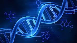 We did not find results for: Proyecto Genoma Humano Ejemplo De Objetivos Alcanzados Exponencialmente Steemit