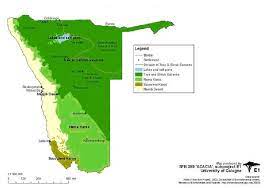 It includes the moçâmedes desert of southern angola. 3 Biomes Of Namibia The Tree And Shrub Savanna Occurs In The Download Scientific Diagram