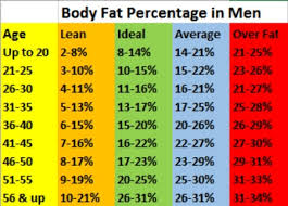 body fat percentage chart with age body fat muscle