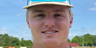 Prep baseball: See which Greater Lansing players were named all-state