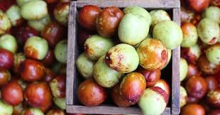Image result for Ziziphus mauritiana