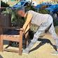 Chair Yoga with Gina event in Pacific Grove, CA