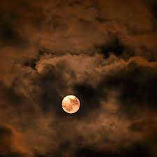 Heart, aorta, blood pressure, blood circulation. Once In A Blue Moon Rare Phenomenon Expected In Saturday Night Sky The Moon The Guardian