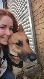 Posting for my friend . Our sweet Daisy accidentally got out late last  night. We have searched everywhere and are totally heartbroken. I pray she  is safe and warm and finds her