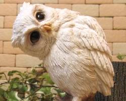 アートなフクロウのグッズの画像