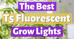 Check spelling or type a new query. The Best T5 Grow Lights 3000k 6500k For Low Cost Growing