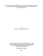 Pottery, Cuisine, and Community Identity in Neolithic and Metal Age  Southeast Asia: Biomolecular and Isotopic Investigation