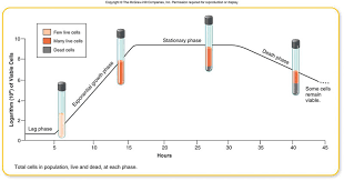 Lag phase, and below a growth measurement of plant cell suspension culture. Bacterial Growth Curve And Its Significance Basic Microbiology Microbe Notes