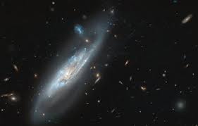 Ngc 1398 es una galaxia espiral barrada. Picture Of The Week Esa Hubble