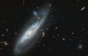 Meet ngc 2608, a barred spiral galaxy about 93 million light years away, in the constellation cancer. Picture Of The Week Esa Hubble