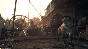 Every area in the game. Can Dogmeat Die Fallout 3