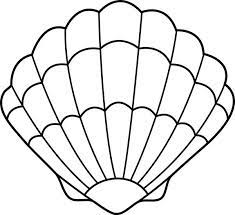 Mitchell publications page of seashells pictures with names; Seashell Drawing Lovely Zigzag Scallop Seashell Drawing Coloring Page Seashell Drawing Sea Shells Shell Coloring Pages