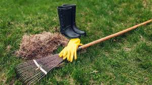 We did not find results for: Beginners Guide To Lawn Dethatching The What Why And How