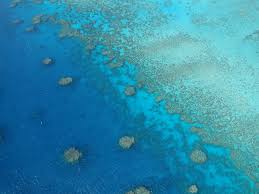 Von oben wirkt das great barrier reef noch intakt. Dream Come True Helikopterflug Uber Das Great Barrier Reef Join The Sunny Side