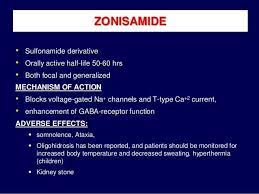 Zonisamide Pharmacology Health Enhancement