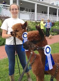 Island Alpaca Farm Blog