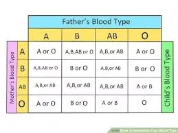 You Will Love Blood Groups Compatibility Chart For Marriage