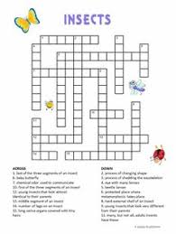 6th grade language arts worksheets. Crossword Puzzle Literary Terms Review Worksheet Novocom Top