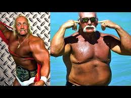 Hulk hogan born is a musician, an actor, television personality but widely recognized as a former professional wrestler. Hulk Hogan Sk H Novocom Top