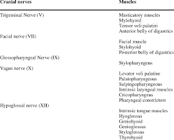 Education degrees, courses structure, learning courses. Innervation Of Major Muscles Related To Swallowing Download Table