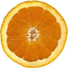 Sinasappel Fruit Juice Concentrate Fruit Juice