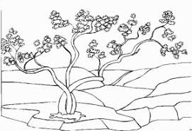 Langer Baum 2 Ausmalbild Malvorlage Landschaften Landschaft Baum Ausmalbild