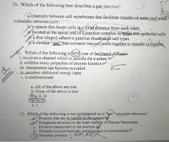 We did not find results for: 20 Which Of The Following Best Describes A Gap Chegg Com