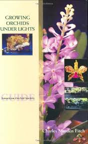 Growing orchids under lights for beginners. Growing Orchids Under Lights Charles Marden Fitch 9780923096038 Amazon Com Books