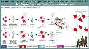 Image result for Direct Coombs