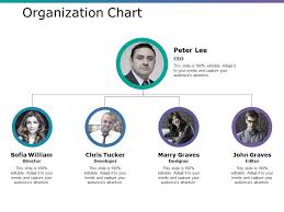 Organization Chart Ppt Professional Visuals Presentation