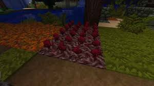 Nether Wart Blocks To Nether Wart Minecraft Data Pack