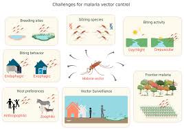 In certain situations a pest can be more than just a pest. Tropicalmed Free Full Text Vector Focused Approaches To Curb Malaria Transmission In The Brazilian Amazon An Overview Of Current And Future Challenges And Strategies Html