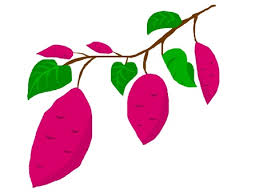 さつまいも 蔓イラスト｜無料イラスト・フリー素材なら「イラストAC」