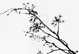 Spring time beautiful background with spring vector. Black And White Cherry Blossom Print By Rstephensart On Etsy 10 00 Cherry Blossom Art White Cherry Blossom Cherry Blossom Drawing