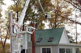 Armstrong Tree Services