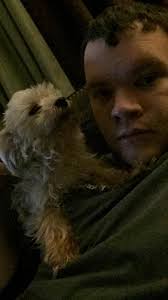 Helping a grieving dog after losing a pet friend