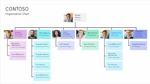 An organization chart can help your employees understand the chain of command, to create effective work of their if you don't have any graphic design skill, you will find difficult in making a creative organizational chart. Minimal Organization Chart