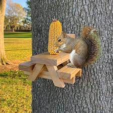 The key is to have small feeders that don't accommodate big birds so finches, sparrows, and others can still have a place for lunch. Buy Nebudo Large Squirrel Feeder Picnic Table With Corn Cob Holder Funny Outside Tree Fence Bench Feeders For Squirrels Chipmunk Entertaining Hanging Wooden Mini Picnic Table Chair Online In Indonesia B08dxrdl3m
