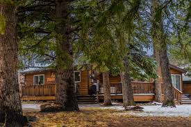 Entire Home Apt In Estes Park United States Newly Remodeled 3 Bedroom Riverside Cabin 2 Blocks From The Edge Of Downtown Cabin Hot Tub Estes Park Picnic Area