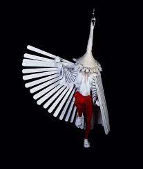 yusuke nishimura photographs the unknown world of japanese performing folk arts folk art japanese art japanese folklore