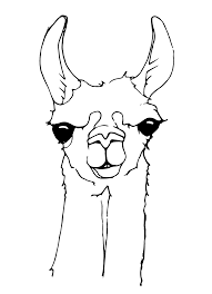 Llamas Head Coloring Page Coloring Rocks In 2020 Animal Coloring Pages Coloring Pages Llama Pictures