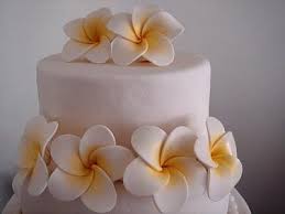 How To Make A Frangipani Hawaiian Flower Out Of Fondant Plumeria Sugar Flowers Tutorial Wedding Cake Fondant Flowers Fondant Flowers