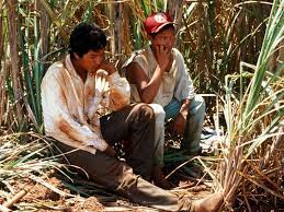 Maybe you would like to learn more about one of these? Guarani