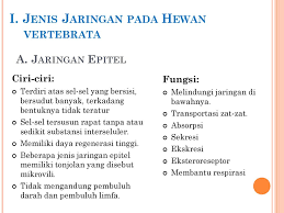 Dinding sel pada tumbuhan berfungsi mempertahankan bentuk sel dan memberikan perlindungan terhadap sel. Bab 3 Struktur Dan Fungsi Jaringan Hewan Ppt Download