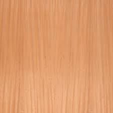 Image result for Khaya