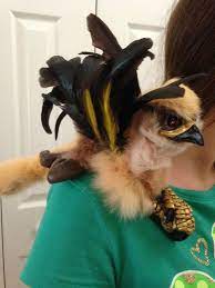 Fantasy Art Woodbaby Gryphon Griffin Renaissance Shoulder Puppet Puppets Fantasy Art Dragon Puppet