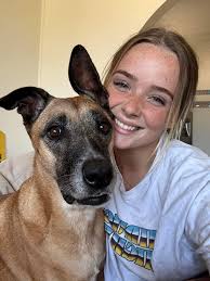 Lost dog in Commerce and Acacia area